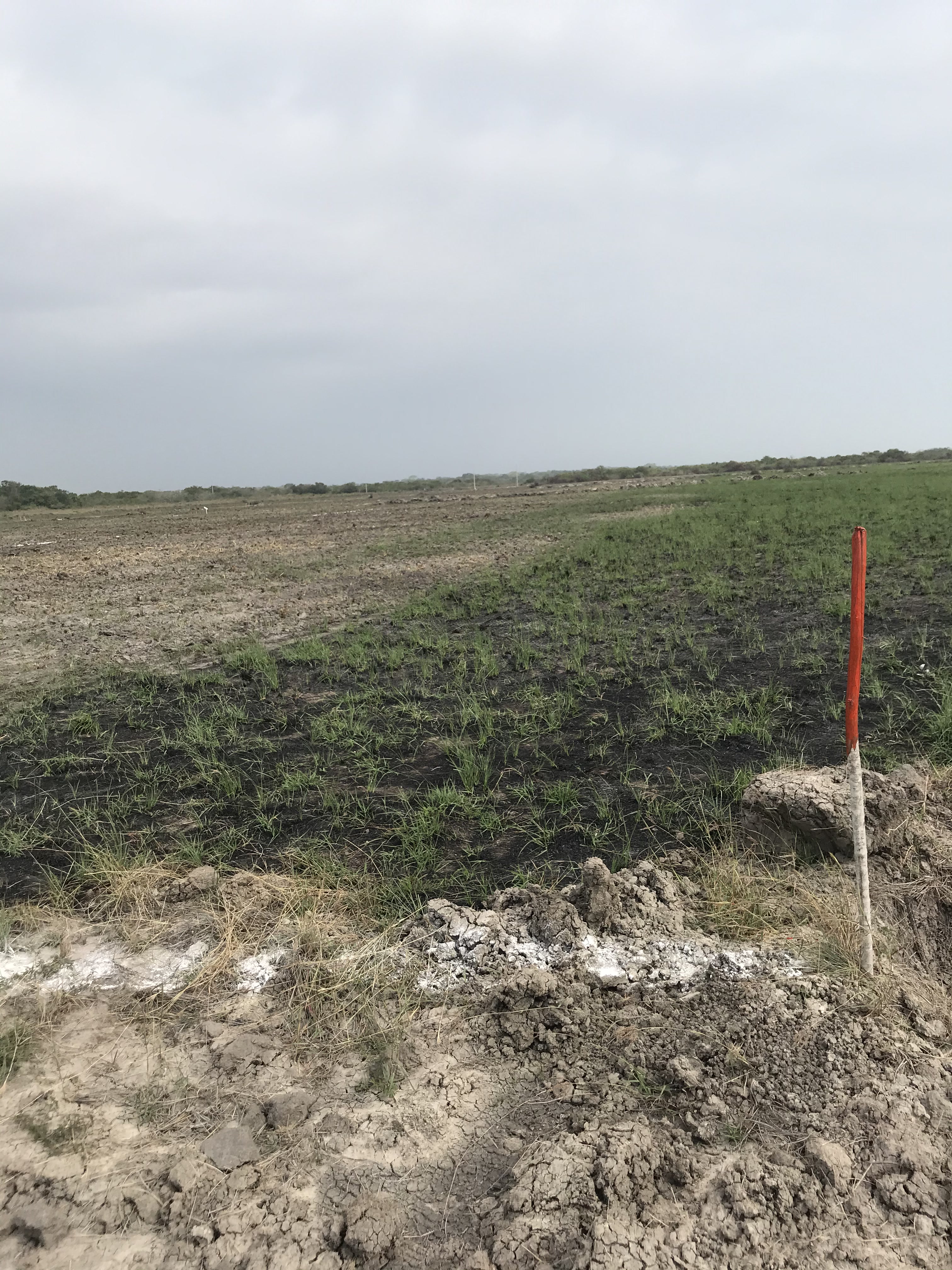 Terreno Punta Jerez